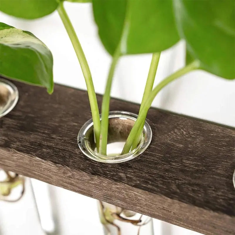 Three-Tier Hanging Plant Propagation Station - Decorative Glass Vase for Home and Garden