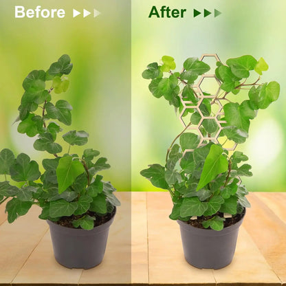 2 Pcs Indoor Plant Trellis for Climbing Plants, 16" Wooden Small Trellis Hexagon Potted Plant Trellis with 10 Pcs Black Cable Ties for Vine Flower Stem Support Accessories(Honeycomb)